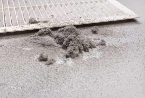 Best HVAC Duct Inspection Services  in Hickory, NC